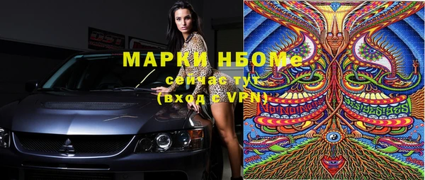 крисы Новокубанск