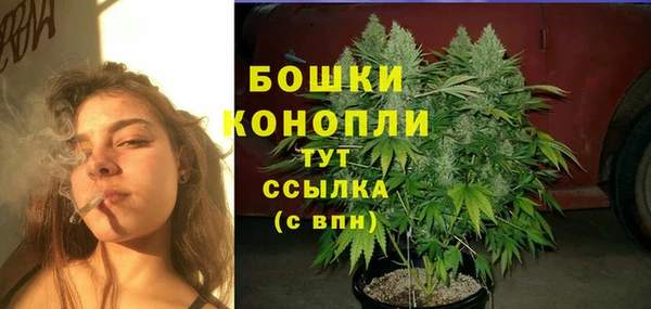 ALPHA PVP Нязепетровск