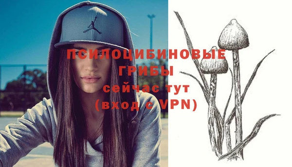 ALPHA PVP Нязепетровск