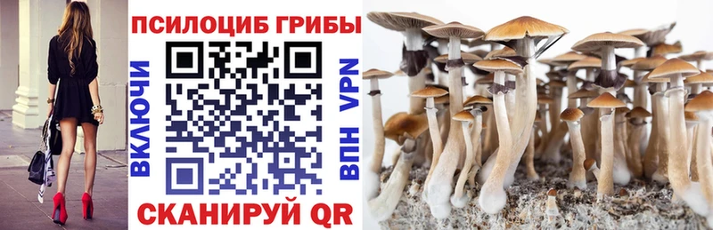 продажа наркотиков  мега ТОР  Галлюциногенные грибы MAGIC MUSHROOMS  Клинцы 