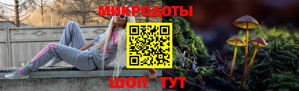 Псилоцибиновые грибы Psilocybe  Галлюциногенные грибы ЛСД  Вход с VPN  Клинцы 